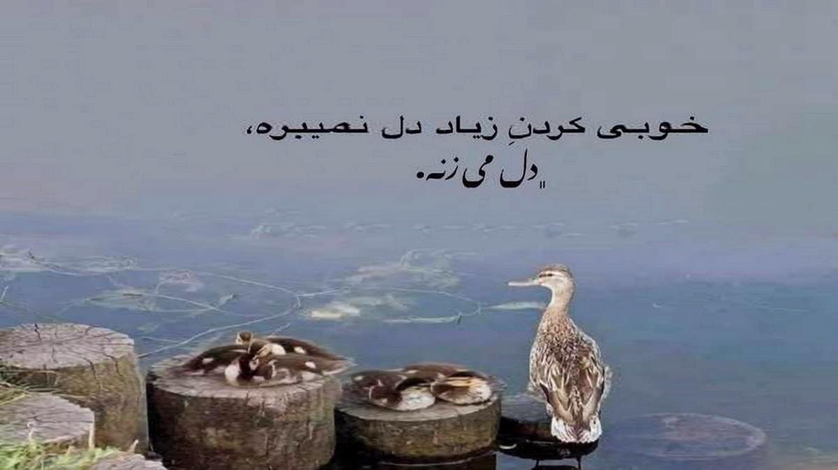  هرچی حال میداد دیگه حال نمیده ریمیکس اینستا